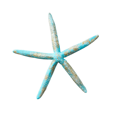 Natural Spider Starfish Decor